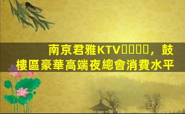 南京君雅KTV，鼓樓區豪華高端夜總會消費水平